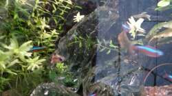 Das perfekte Versteck