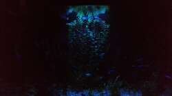 Das ganze Becken bei Nacht