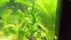 Seitenansicht von rechts