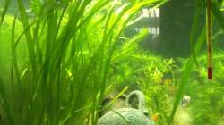 Seitenansicht von links