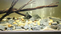 Hier war das Becken noch Towuti-Lake