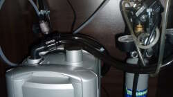 Technik im Aquarium Gesellschaftsbecken