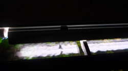 Technik im Aquarium Gesellschaftsbecken