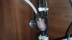 Technik im Aquarium Gesellschaftsbecken