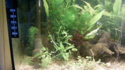 linke Seite 31.08.13