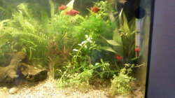 rechte Seite 31.08.13