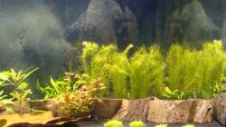 rechter Teil (17.03.13)