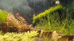 rechter Teil (24.11.13)