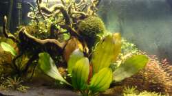 linker Teil (24.11.13)