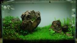 Ansicht vom 25.04.2013