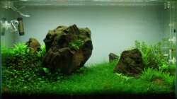 Ansicht vom 01.06.2013