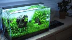 Gesamtansicht der ´Scaping-Ecke´