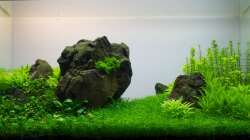 Ansicht vom 23.06.2013