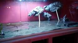 Anfang mit Einbau der Module