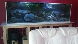 Platte, Ecken, sowie 4cm am Becken hoch weiss foliert