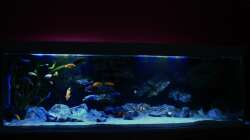 Erstes Bild nach Umbau..