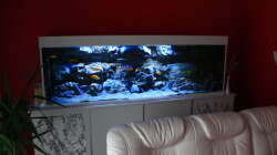 Die beiden äusseren Frontplatten graumeliert foliert als Auflockerung.