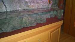 Nach Einbau der Rückwand, des Sandes und dem langsamen Befüllen