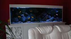 und jetzt mit Wasserbausteinen..Aktuell