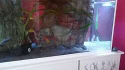 Anfang März der Anfang des Umbaues