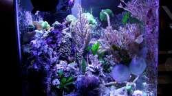 Seitenansicht März 2013