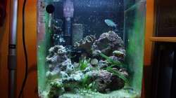 Kurz nach ??bernahme mit noch unpassendem Besatz!