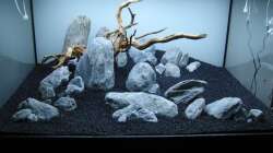 Dekoration im Aquarium Fading Memories