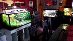 Blick auf Little Dschungel,Vision190 und Woha-Cube