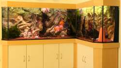 Aquarium Diskus Aquarium L-Form