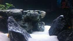 Welsstein im Hintergrund