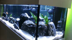 Neue LED Rückbeleuchtung (grün)