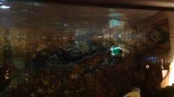 Technik im Aquarium Malawi