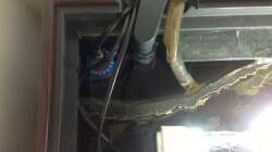 Technik im Aquarium Malawi