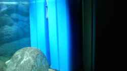 Technik im Aquarium Becken 2682