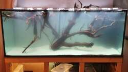 Nach dem Befüllen mit Lichttest ohne Controller