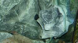 Tunze Turbelle® nanostream® 6025