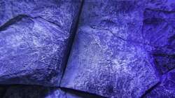 Dekoration im Aquarium Placidochromis Dream aufgelöst