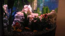 Aquarium Trigon 190 von Juwel