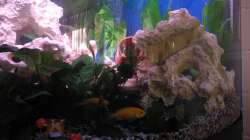 Aquarium Trigon 190 von Juwel