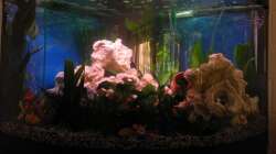 Aquarium Trigon 190 von Juwel