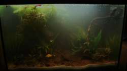 Filterschlamm aus dem großen Becken