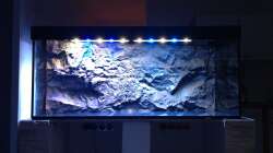 Rückwand im Trockenlauf 