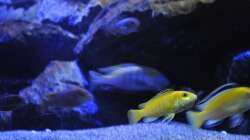 Nachwuchs im anmarsch :)