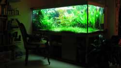 im Wohnzimmer abends