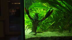 Hey, wo ist meine Futtertablette?!?!