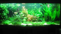 Gesamtansicht März 2014