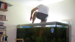 Der Hardcore-Aquarianer pfanzt.