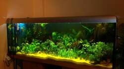 Dez.2010: Alles frisch eingepflanzt, das Spiel des ??berlebens geht los!