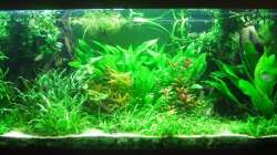 Gesamtansicht Sep.13