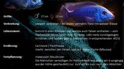 Sciaenochromis